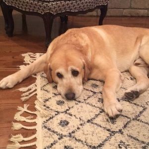 Meet your Posher, Heather